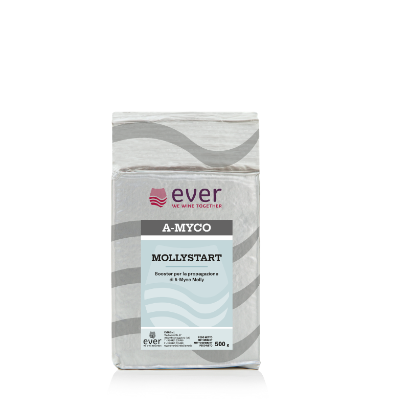 Mollystart